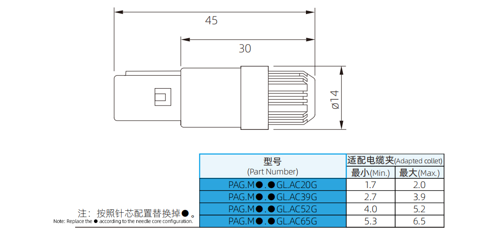 P-PAG1-4.jpg